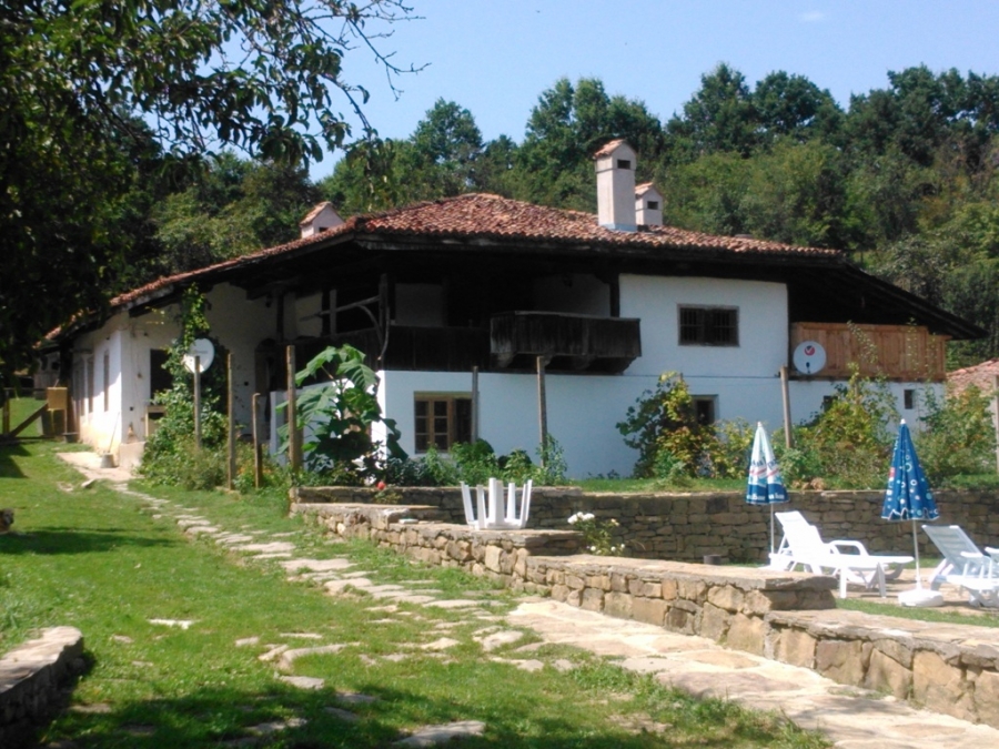 Baba-Dana_1-1